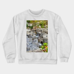 Shut-Ins State Park Study 3 Crewneck Sweatshirt